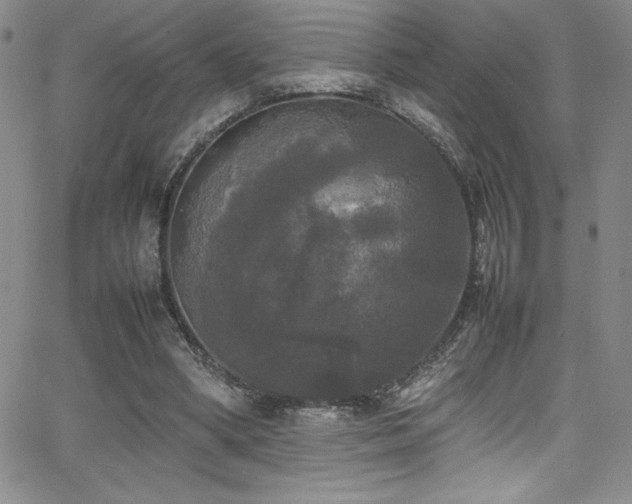 X0000064060394200601271257