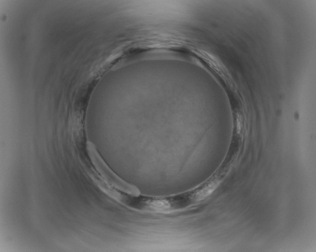 X0000064060409200601271257