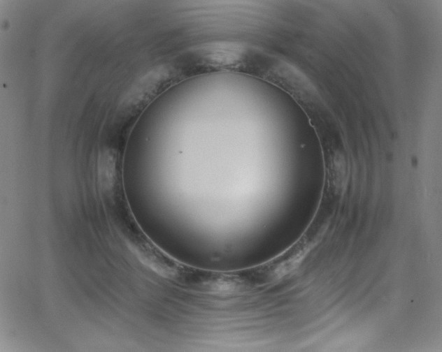 X0000064060412200601271257