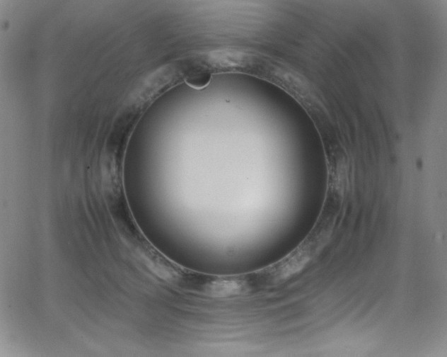 X0000064060418200601271257