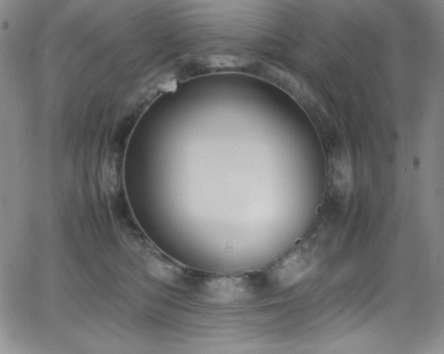 X0000064060422200601271257