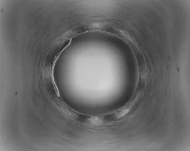 X0000064060425200601271257