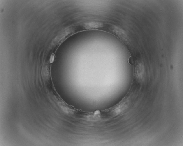 X0000064060426200601271257