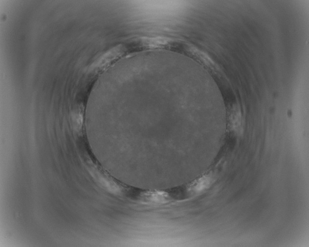 X0000064060427200601271257