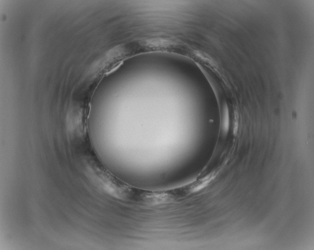 X0000064060428200601271257
