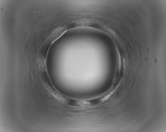 X0000064060429200601271257