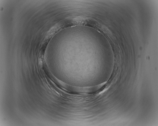 X0000064060432200601271257