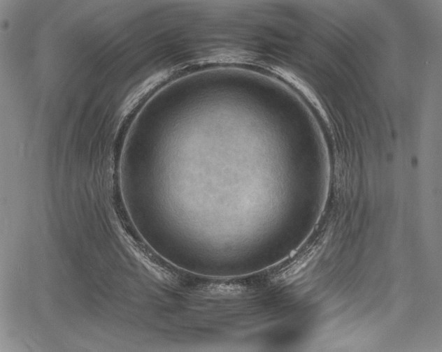 X0000064060437200601271256