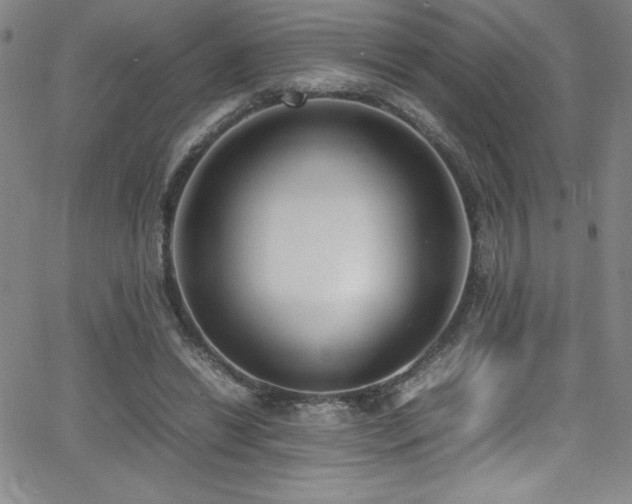 X0000064060446200601271256