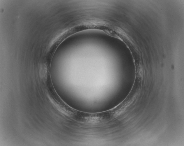 X0000064060448200601271256