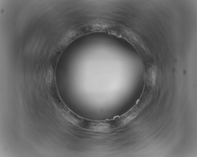 X0000064060463200601271256