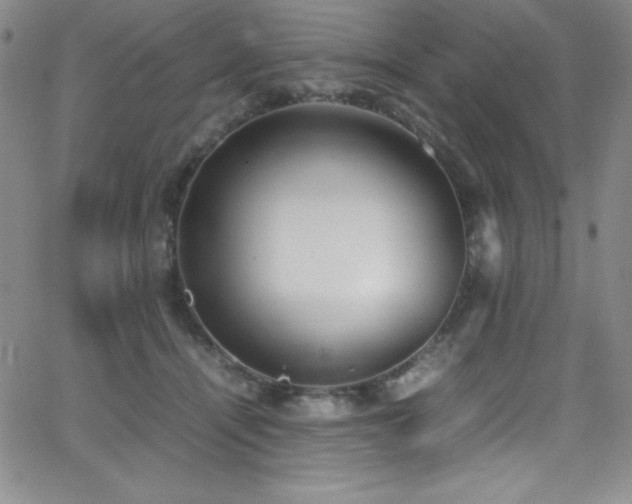 X0000064060464200601271256