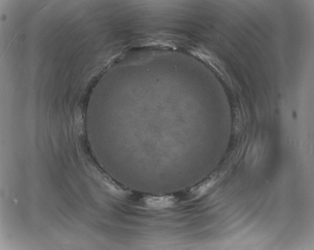 X0000064060465200601271256