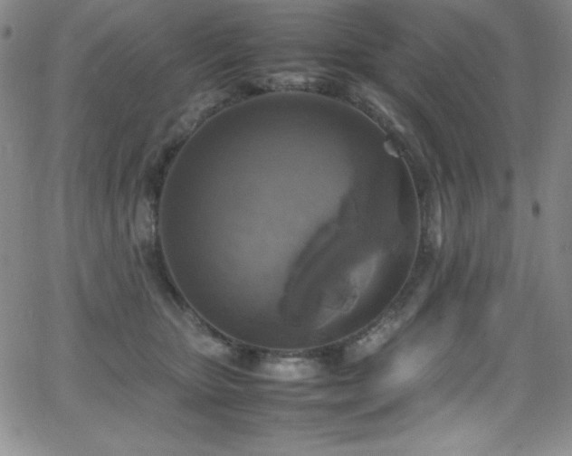 X0000064060467200601271256