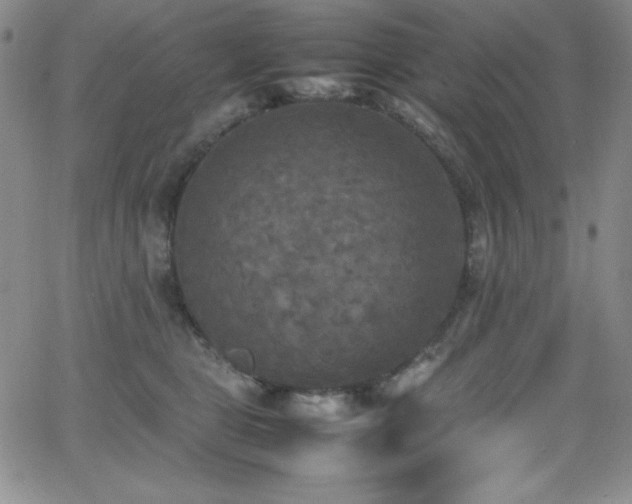 X0000064060469200601271256