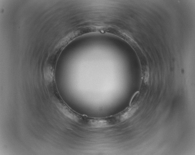 X0000064060476200601271257