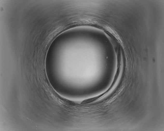 X0000064060481200601271256