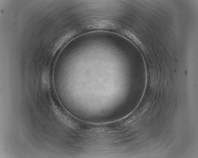 X0000064060482200601271256