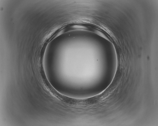 X0000064060485200601271256