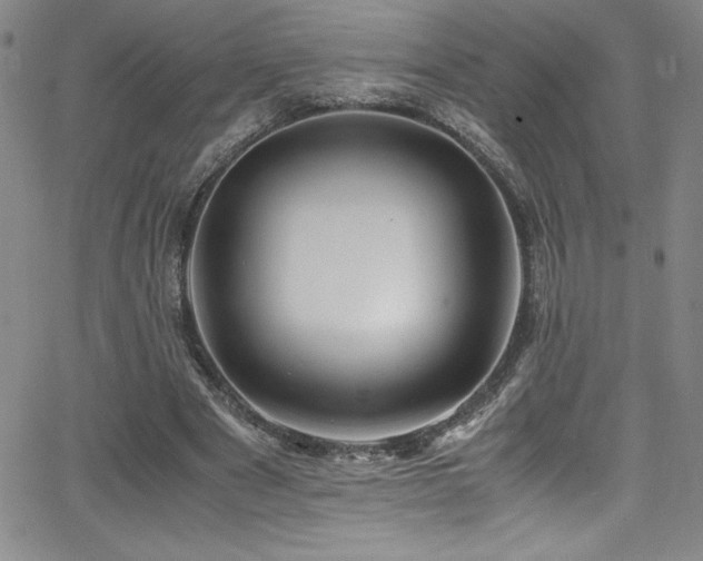 X0000064060489200601271256
