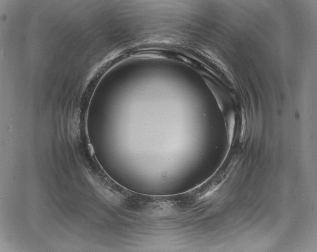 X0000064060492200601271256