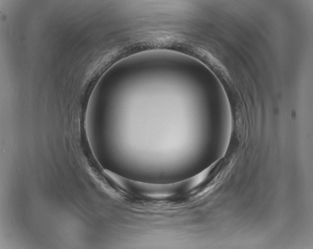 X0000064060493200601271256
