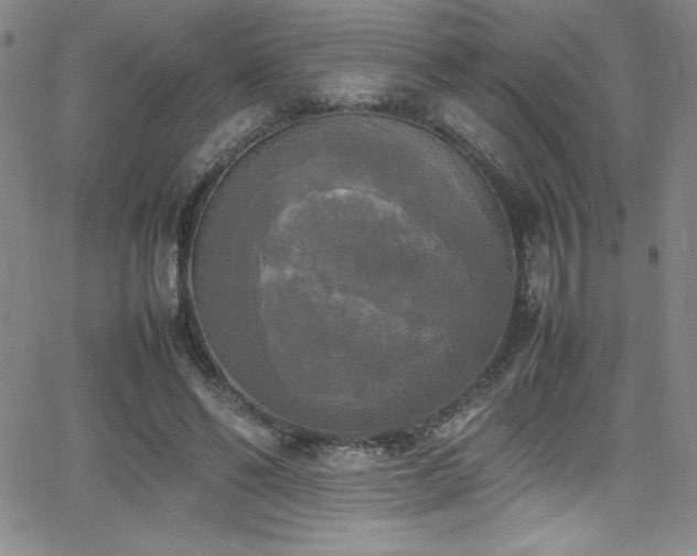 X0000064060494200601271256