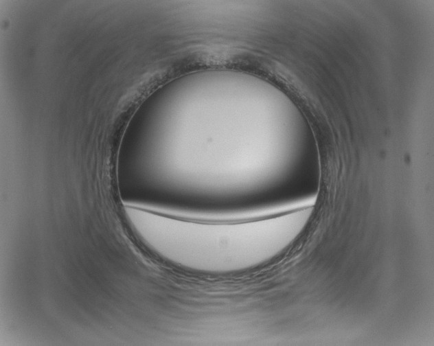 X0000064060497200601271256