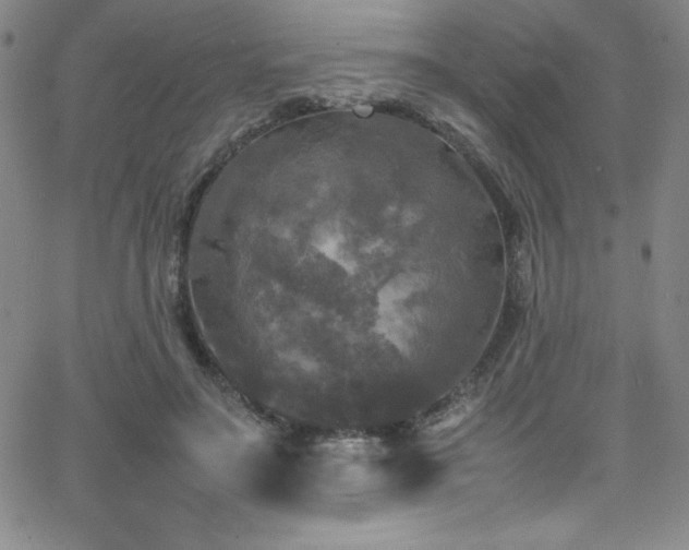X0000064060499200601271256