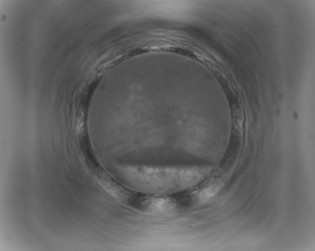 X0000064060507200601271255