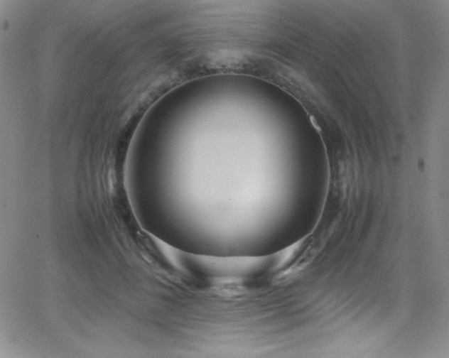 X0000064060508200601271255