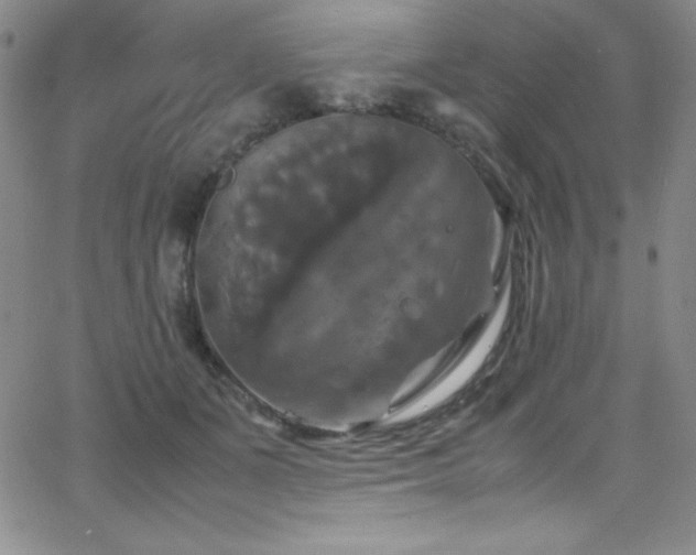 X0000064060511200601271255
