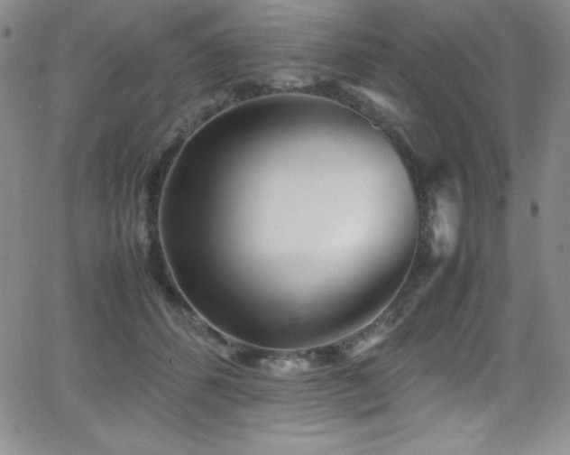 X0000064060512200601271255