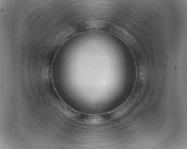 X0000064060514200601271255