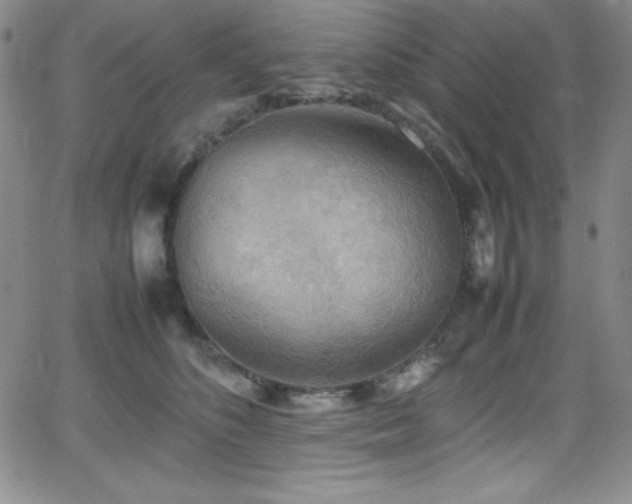 X0000064060516200601271255