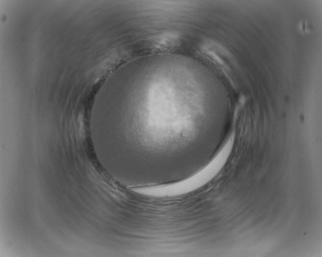 X0000064060520200601271255