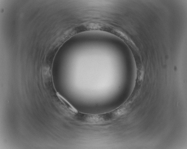 X0000064060521200601271255