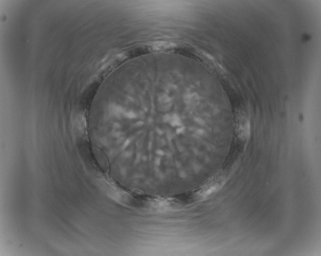 X0000064060523200601271255