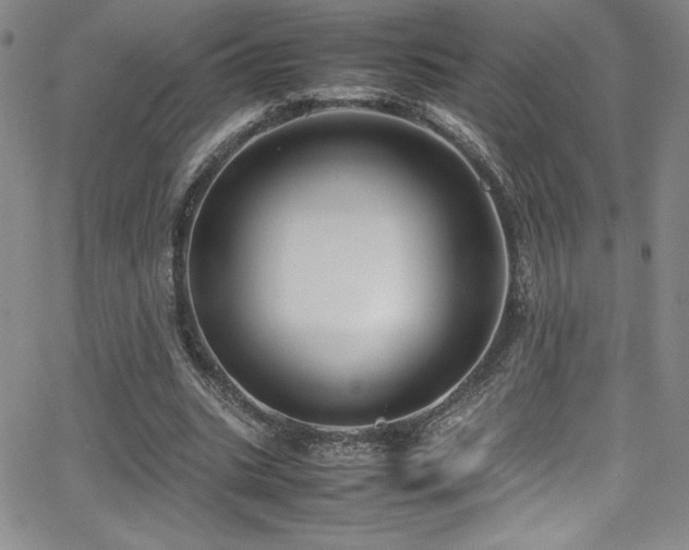 X0000064060535200601271254