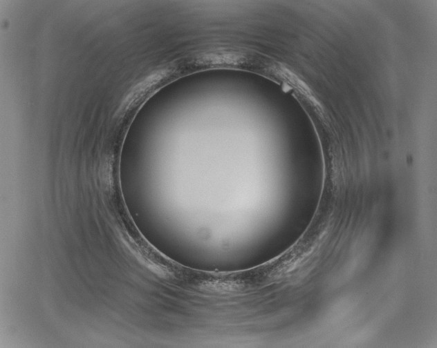 X0000064060537200601271254