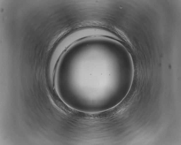X0000064060538200601271255