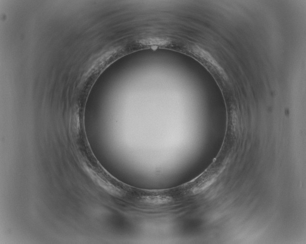 X0000064060541200601271255