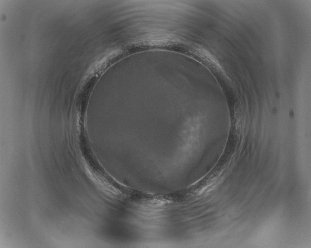 X0000064060542200601271255