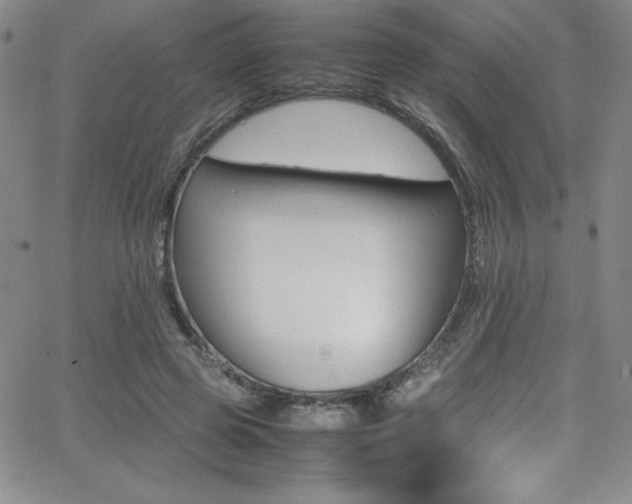 X0000064060545200601271255