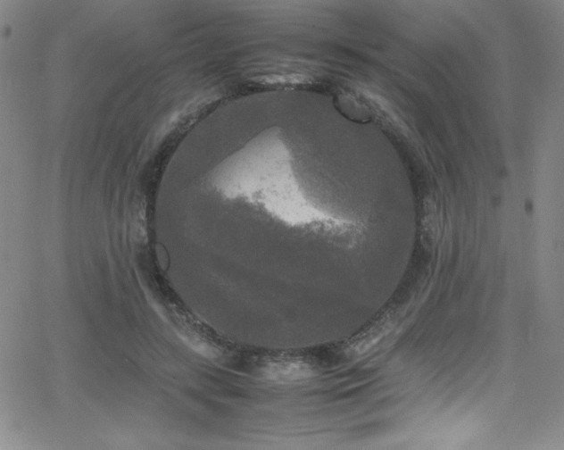X0000064060547200601271255