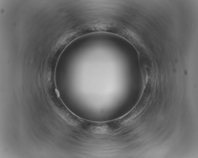 X0000064060548200601271255