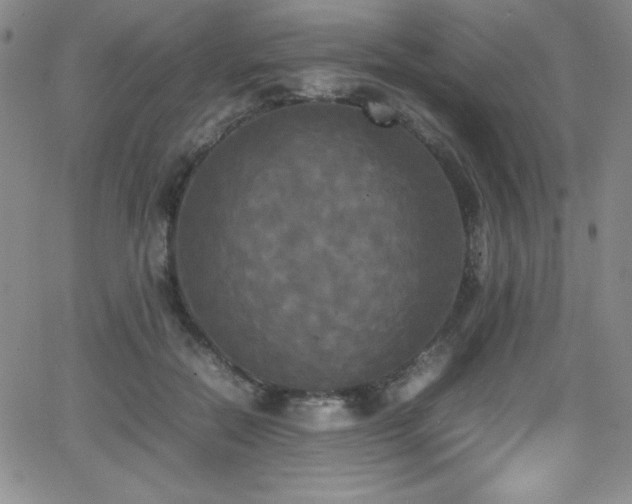 X0000064060554200601271255