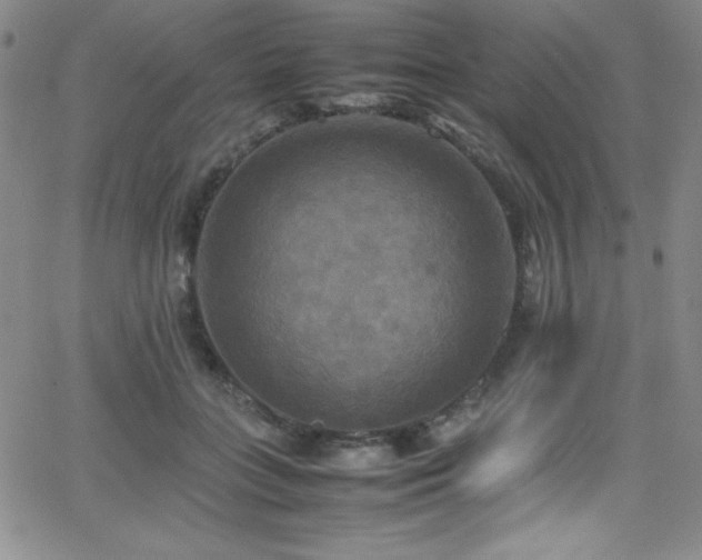 X0000064060555200601271255
