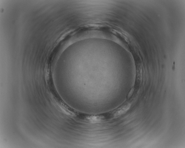 X0000064060558200601271255