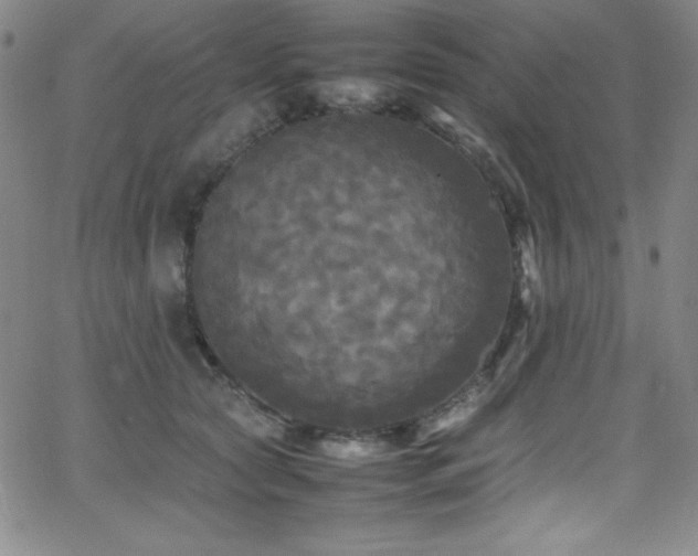X0000064060561200601271255